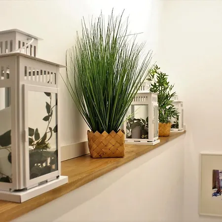 Prime Apartamento *